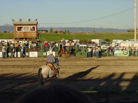 DSC04444