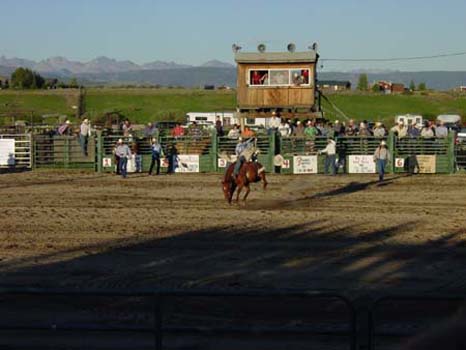 DSC04445