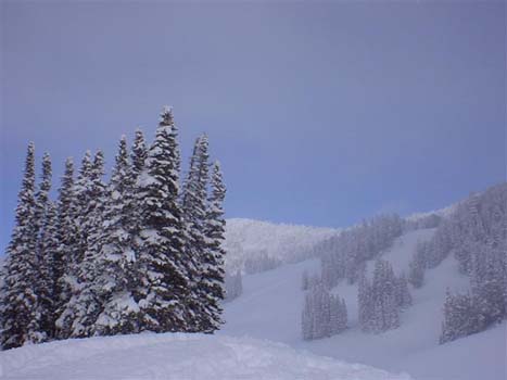 horsecreekdec (9)
