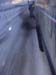 DSC00052