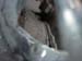 DSC03712 (Small)