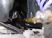 DSC03713 (Small)