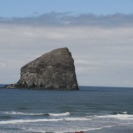 IMG_4454