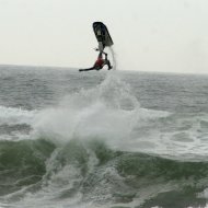 IMG_0379_Crop