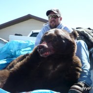 CraigsBear