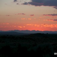 IMG_7992