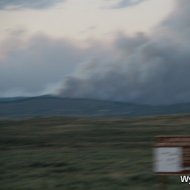 IMG_7993
