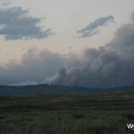 IMG_7994