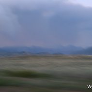 IMG_7995