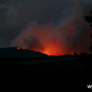 IMG_8014