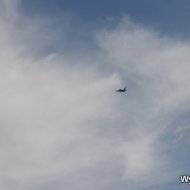 IMG_8240
