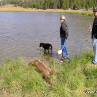 Lime Creek Camping