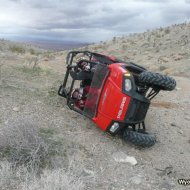 Mesquite 009