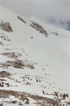 019_16A (Small)