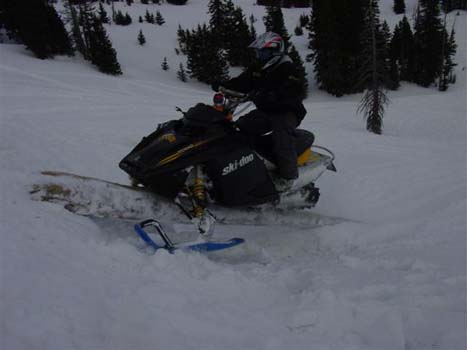 DSC03698 (Small)