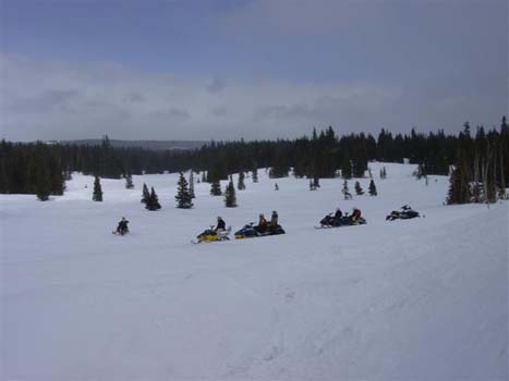 DSC03796 (Small)
