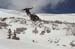 012_9A (Small)