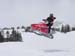 DSC03729 (Small)