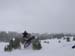 DSC03751 (Small)