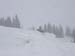 DSC03758 (Small)