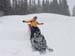 DSC03768 (Small)