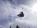 DSC03837 (Small)
