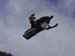 DSC03842 (Small)
